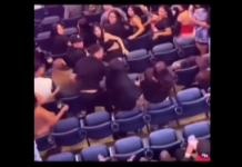 VIDEO. Calmul învinge aproape în fiecare luptă! VIDEO. Calmul învinge aproape în fiecare luptă!