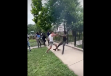 VIDEO. Bătaie terminată rapid și prietenește, mai rar vezi! VIDEO. Bătaie terminată rapid și prietenește, mai rar vezi!