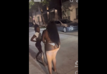 VIDEO. Bătaia între două femei cu o diferență considerabilă de talie! VIDEO. Bătaia între două femei cu o diferență considerabilă de talie!