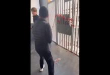 VIDEO. Lovitură perfectă! S-au făcut amândoi knockout în același timp! VIDEO. Lovitură perfectă! S-au făcut amândoi knockout în același timp!