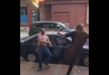VIDEO. L-a bătut de l-a calmat instant! VIDEO. L-a bătut de l-a calmat instant!