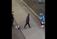 VIDEO. Livratorul s-a săturat să fie scuipat și a ripostat brutal! VIDEO. Livratorul s-a săturat să fie scuipat și a ripostat brutal!