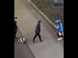 VIDEO. Livratorul s-a săturat să fie scuipat și a ripostat brutal! VIDEO. Livratorul s-a săturat să fie scuipat și a ripostat brutal!