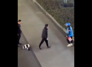 VIDEO. Livratorul s-a săturat să fie scuipat și a ripostat brutal! VIDEO. Livratorul s-a săturat să fie scuipat și a ripostat brutal!