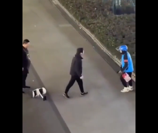 VIDEO. Livratorul s-a săturat să fie scuipat și a ripostat brutal! VIDEO. Livratorul s-a săturat să fie scuipat și a ripostat brutal!