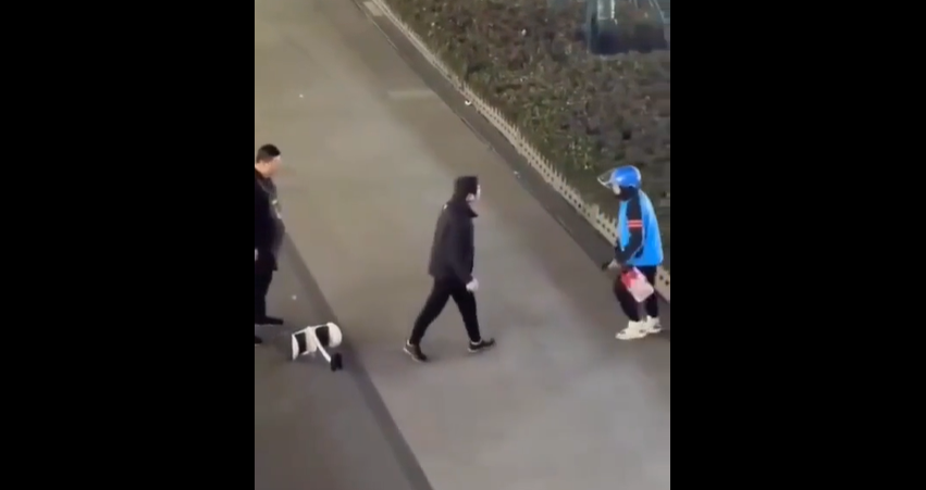 VIDEO. Livratorul s-a săturat să fie scuipat și a ripostat brutal!