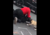 VIDEO. S-a legat pe stradă de o femeie trans și până și propriul câine l-a atacat! VIDEO. S-a legat pe stradă de o femeie trans și până și propriul câine l-a atacat!