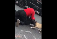 VIDEO. S-a legat pe stradă de o femeie trans și până și propriul câine l-a atacat! VIDEO. S-a legat pe stradă de o femeie trans și până și propriul câine l-a atacat!