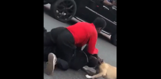 VIDEO. S-a legat pe stradă de o femeie trans și până și propriul câine l-a atacat! VIDEO. S-a legat pe stradă de o femeie trans și până și propriul câine l-a atacat!