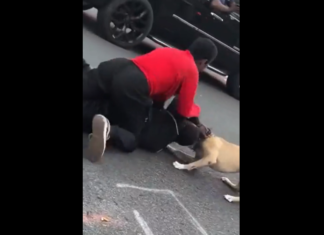 VIDEO. S-a legat pe stradă de o femeie trans și până și propriul câine l-a atacat! VIDEO. S-a legat pe stradă de o femeie trans și până și propriul câine l-a atacat!