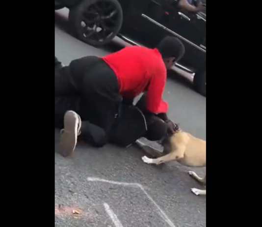 VIDEO. S-a legat pe stradă de o femeie trans și până și propriul câine l-a atacat! VIDEO. S-a legat pe stradă de o femeie trans și până și propriul câine l-a atacat!