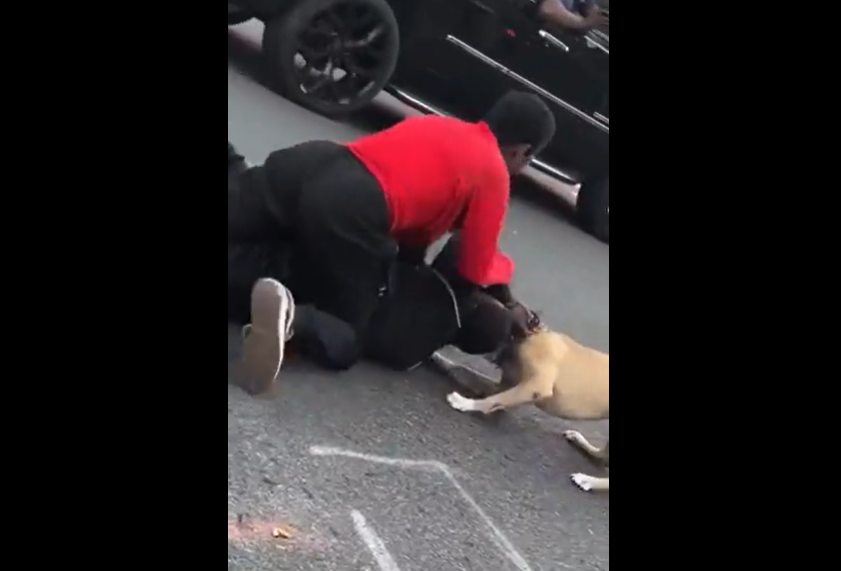 VIDEO. S-a legat pe stradă de o femeie trans și până și propriul câine l-a atacat!