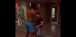 VIDEO. Ce înseamnă să fii mic, dar să știi să te lupți! VIDEO. Ce înseamnă să fii mic, dar să știi să te lupți!