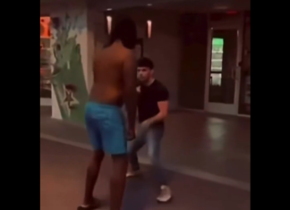 VIDEO. Ce înseamnă să fii mic, dar să știi să te lupți! VIDEO. Ce înseamnă să fii mic, dar să știi să te lupți!