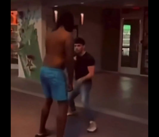 VIDEO. Ce înseamnă să fii mic, dar să știi să te lupți! VIDEO. Ce înseamnă să fii mic, dar să știi să te lupți!