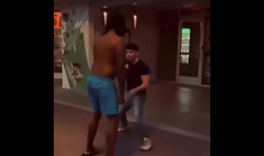 VIDEO. Ce înseamnă să fii mic, dar să știi să te lupți!