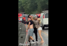 VIDEO. Bătaie în plină autostradă. S-a lăsat cu somn! VIDEO. Bătaie în plină autostradă. S-a lăsat cu somn!