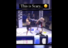 VIDEO. Unul dintre cele mai înspăimântătoare knockouturi din MMA! VIDEO. Unul dintre cele mai înspăimântătoare knockouturi din MMA!