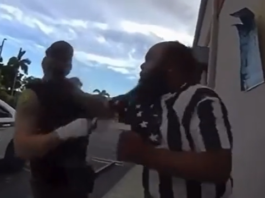 VIDEO. L-a făcut pe polițist KO cu un pumn și după a suportat consecințele! VIDEO. L-a făcut pe polițist KO cu un pumn și după a suportat consecințele!