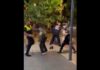 VIDEO. I-a atacat pe polițiști și a regretat instant! VIDEO. I-a atacat pe polițiști și a regretat instant!