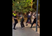 VIDEO. I-a atacat pe polițiști și a regretat instant! VIDEO. I-a atacat pe polițiști și a regretat instant!