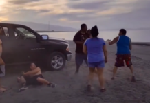 VIDEO. Avea impresia că poate să bată toată plajă, dar a fost pus rapid la punct! VIDEO. Avea impresia că poate să bată toată plajă, dar a fost pus rapid la punct!