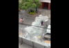 VIDEO. O luptă de stradă s-a terminat cu un extinctor pe post de armă! VIDEO. O luptă de stradă s-a terminat cu un extinctor pe post de armă!