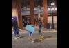 VIDEO. L-a bătut cu propriul papuc până n-a mai putut! VIDEO. L-a bătut cu propriul papuc până n-a mai putut!