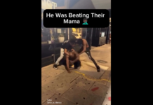 VIDEO. 2 frați l-au bătut pe bărbatul care le-a lovit mama! VIDEO. 2 frați l-au bătut pe bărbatul care le-a lovit mama!