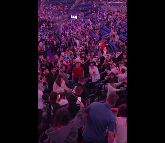 VIDEO. Și-a luat bătaie și a plecat cu coada între picioare! VIDEO. Și-a luat bătaie și a plecat cu coada între picioare!
