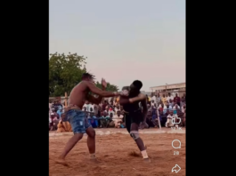 VIDEO. KO cu un singur pumn la o competiție de contact din Africa! VIDEO. KO cu un singur pumn la o competiție de contact din Africa!