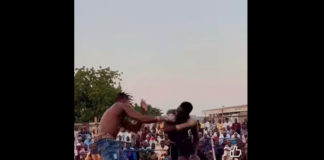 VIDEO. KO cu un singur pumn la o competiție de contact din Africa! VIDEO. KO cu un singur pumn la o competiție de contact din Africa!