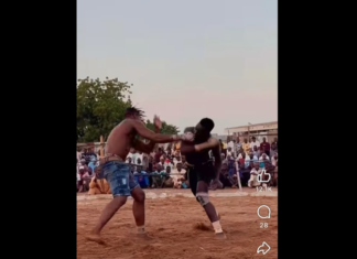 VIDEO. KO cu un singur pumn la o competiție de contact din Africa! VIDEO. KO cu un singur pumn la o competiție de contact din Africa!